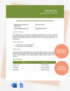 business-functional-requirements-template