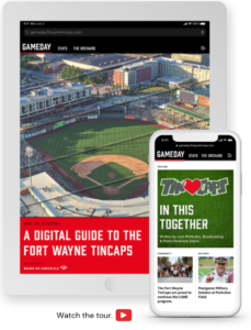 baseball-game-day-program-template