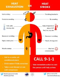 cal-osha-heat-illness-prevention-program-template