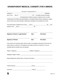 medical-authorization-for-grandparents-template